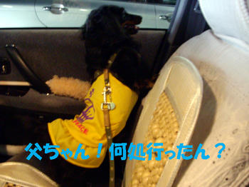 090922_4.jpg