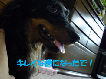 090922_5.jpg