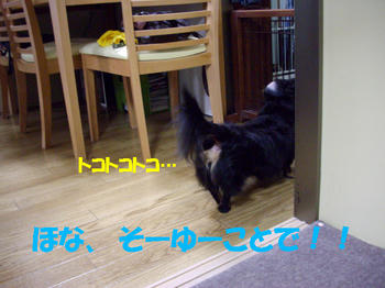 090922_7.jpg