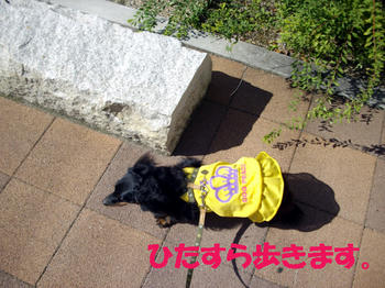 091012_3.jpg