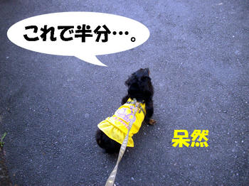 091012_5.jpg