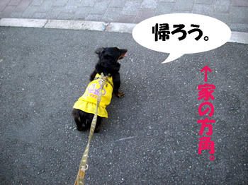 091012_7.jpg