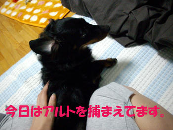 091013_1.jpg