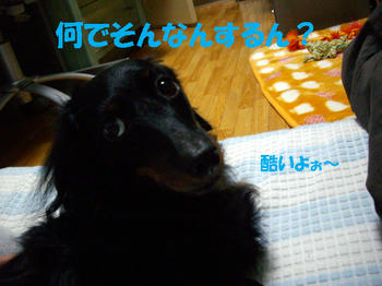 091013_3.jpg
