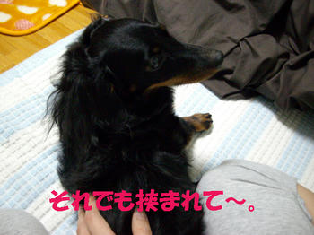091013_4.jpg