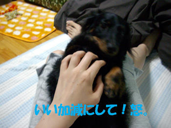 091013_5.jpg