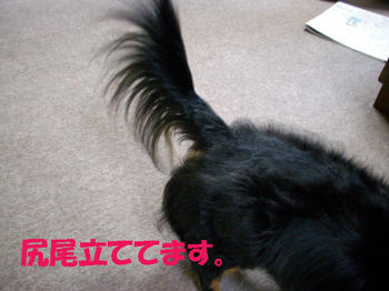 091013_8.jpg