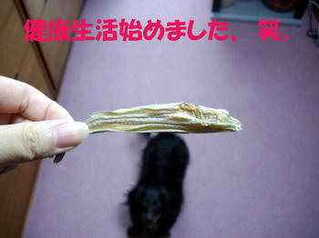 091014_1.jpg
