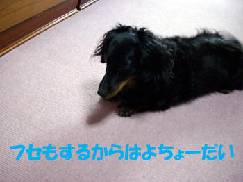 091014_2.jpg