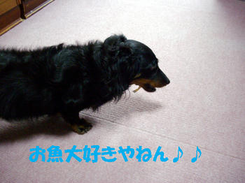 091014_3.jpg