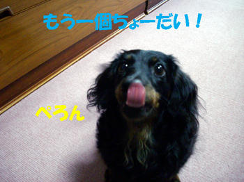 091014_4.jpg