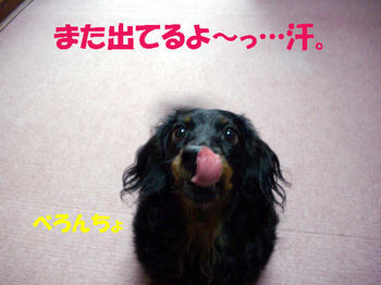 091014_5.jpg