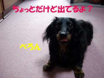 091014_6.jpg