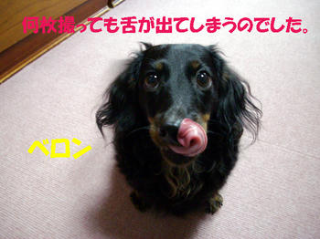 091014_7.jpg