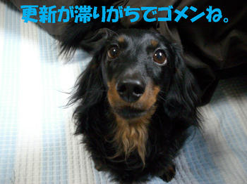091027_1.jpg