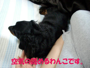091027_2.jpg