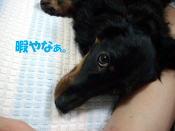 091027_3.jpg