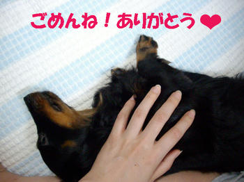 091027_5.jpg