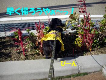 091103_2.jpg