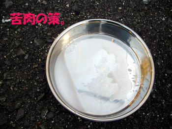 091103_5.jpg
