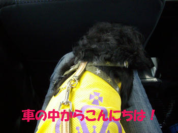 091109_1.jpg