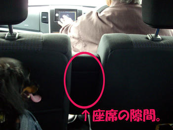 091109_2.jpg