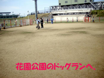091109_3.jpg