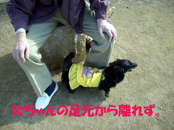 091109_6.jpg