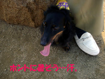 091109_8.jpg