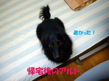 091109_9.jpg