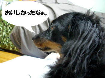 091115_2.jpg
