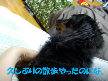 091115_3.jpg