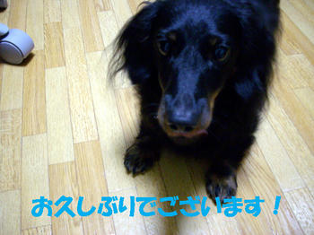 091125_1.jpg