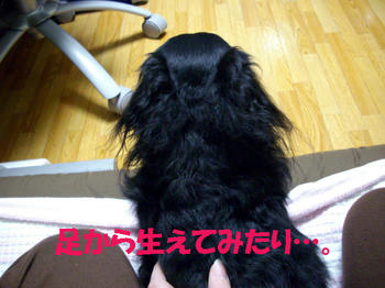 091125_3.jpg