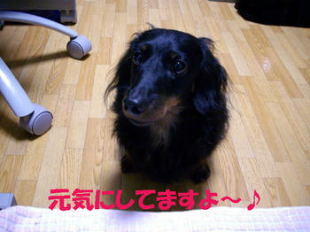 091125_5.jpg