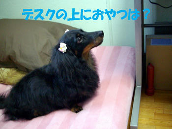091201_5.jpg