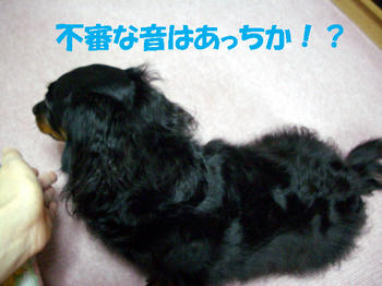 091210_4.jpg