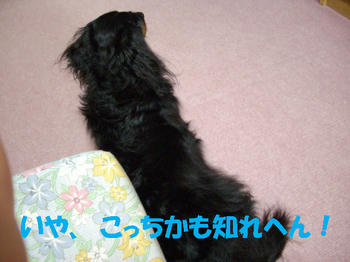 091210_3.jpg