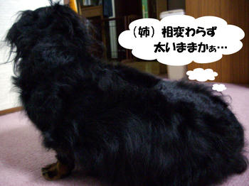091210_2.jpg