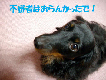 091210_1.jpg