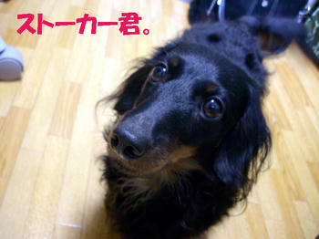 091219_3.jpg
