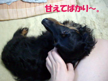 091219_4.jpg