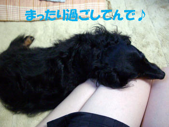 091219_5.jpg