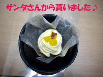 091226_1.jpg