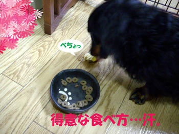 091226_3.jpg