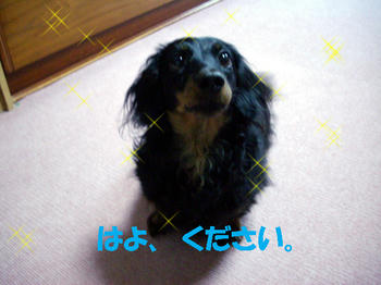 091226_6.jpg