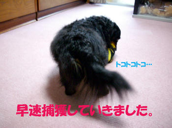 091226_7.jpg