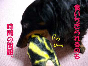 091226_8.jpg