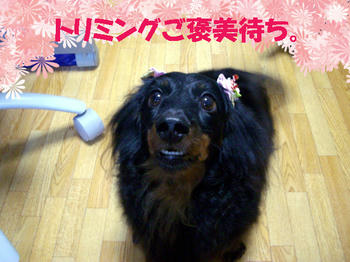 091231_1.jpg
