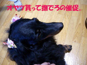 091231_2.jpg
